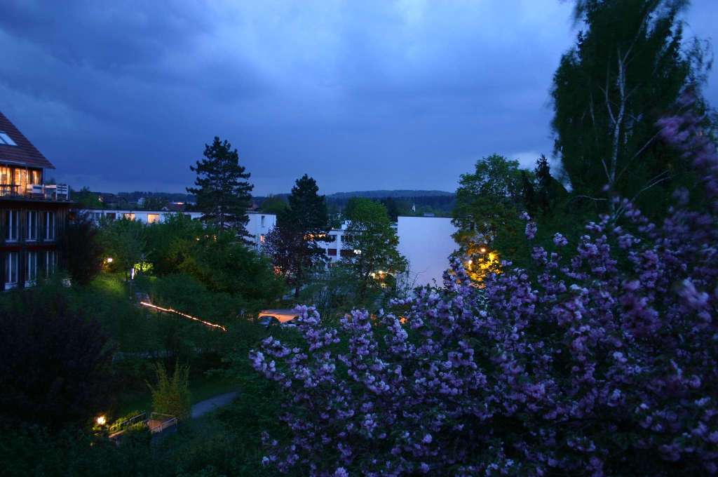 Abendliche Aussicht in Richtung Strasse
